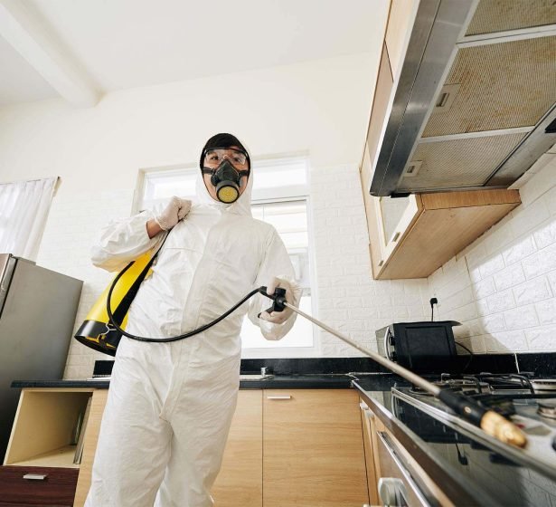 technician-spraying-chemicals-in-house-2025-02-11-13-52-49-EK43U7M.jpg